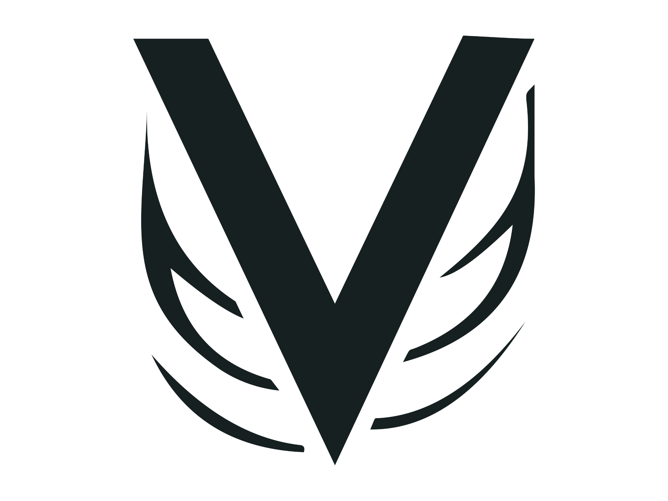 Logo Veertis Navbar
